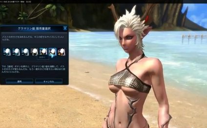 Tera Online size