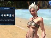 Tera Online size