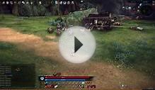 Tera Online power leveling without any effort?