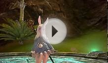 TERA Online Stress test 2010 (Elin race)